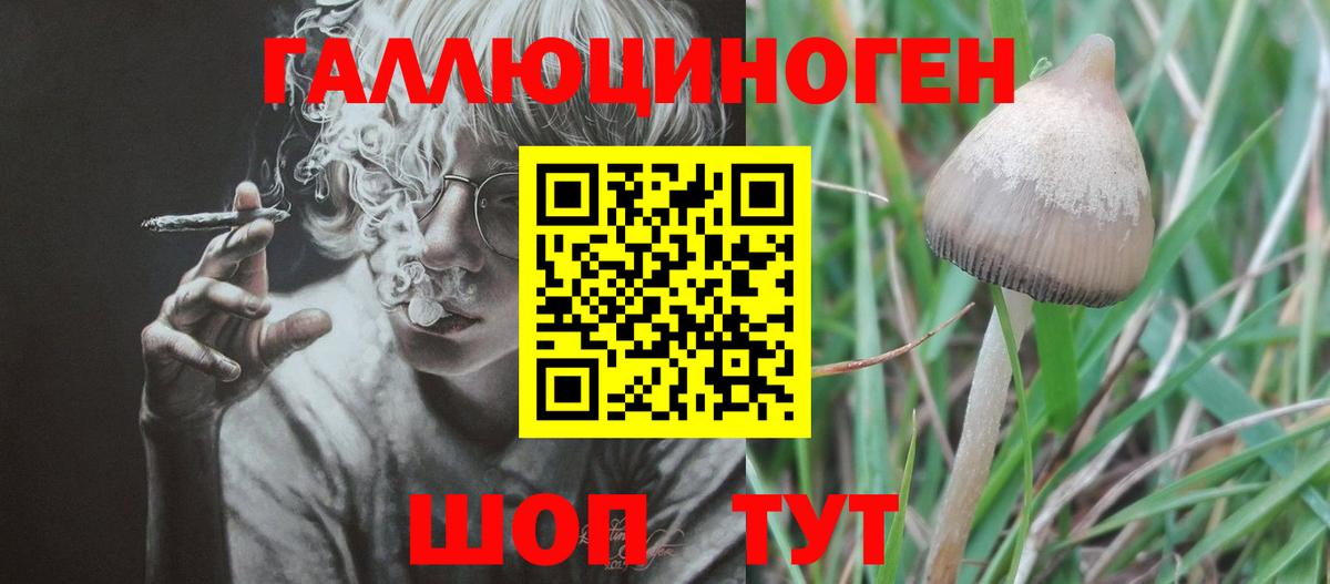 Галлюциногенные грибы Psilocybine cubensis Ивантеевка
